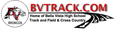 BV Track Web Logo